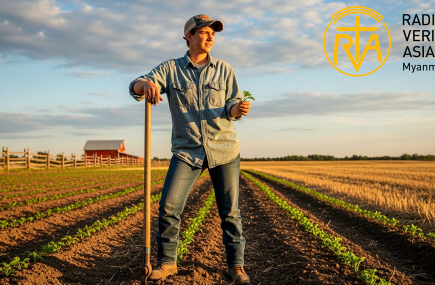 လိုအပ်ချက်