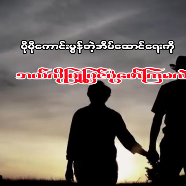 ပိုမိုကောင်းမွန်တဲ့ အိမ်ထောင်ရေးကို ဘယ်လိုပြုပြင်ပုံဖော်ကြမလဲ