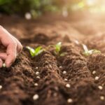 စီးပွားရေးကို ပြန်လည်စတင်ခြင်း- အနားယူရန်အချိန်(ရှိပါသေးသည်)-ကမ္ဘာ့ ‘ဥပုသ်နေ့’ဂျူဘီလီနှစ်။