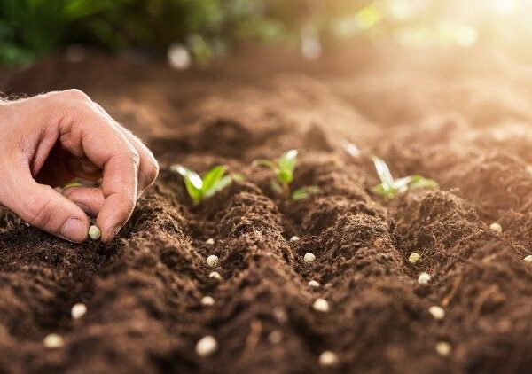 စီးပွားရေးကို ပြန်လည်စတင်ခြင်း- အနားယူရန်အချိန်(ရှိပါသေးသည်)-ကမ္ဘာ့ ‘ဥပုသ်နေ့’ဂျူဘီလီနှစ်။