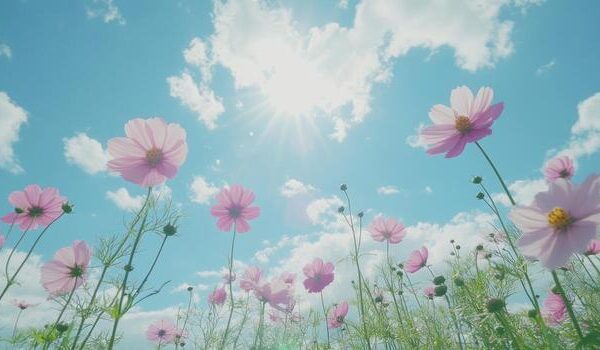 ဘာတွေပဲ လုပ်လုပ်အရာမထင်တဲ့အခါ