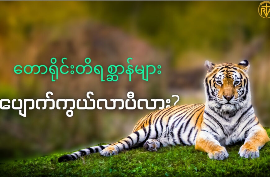 တောရိုင်းတိရစ္ဆာန် ပျောက်ကွယ်မှုများနှင့် အမဲလိုက်မှုများ