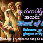 ဖာရ်သာAlphonse Aung Ko Latt, MDY (မန္တလေးကက်သလစ်ဂိုဏ်းချုပ်သာသနာ) ခရစ္စမတ်ပွဲတော်အကြိုနေ့ ဗုဒ္ဓဟူးနေ့ ၂၄၊ ၁၂၊ ၂၀၂၅