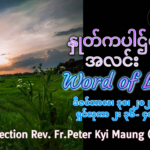 ဖာရ်သာ Peter Kyi Maung (မန္တလေးကက်သလစ်ဂိုဏ်းချုပ်သာသနာ) ခရစ္စ်မတကာလ အင်္ဂါနေ့ ၃၀၊ ၁၂ ၊ ၂၀၂၅