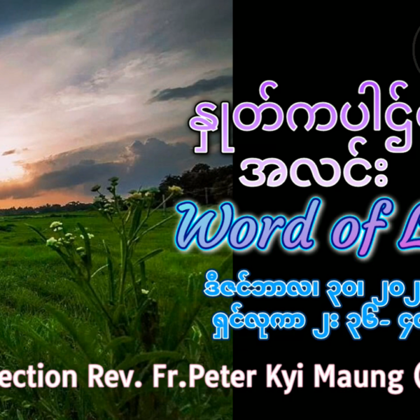 ဖာရ်သာ Peter Kyi Maung (မန္တလေးကက်သလစ်ဂိုဏ်းချုပ်သာသနာ) ခရစ္စ်မတကာလ အင်္ဂါနေ့ ၃၀၊ ၁၂ ၊ ၂၀၂၅
