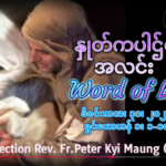 ဖာရ်သာ Peter Kyi Maung (မန္တလေးကက်သလစ်ဂိုဏ်းချုပ်သာသနာ) ခရစ္စ်မတကာလ ဗုဒ္ဓဟူးနေ့ ၃၁၊ ၁၂ ၊ ၂၀၂၅