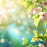 ကျေးဇူးတင်ခြင်း