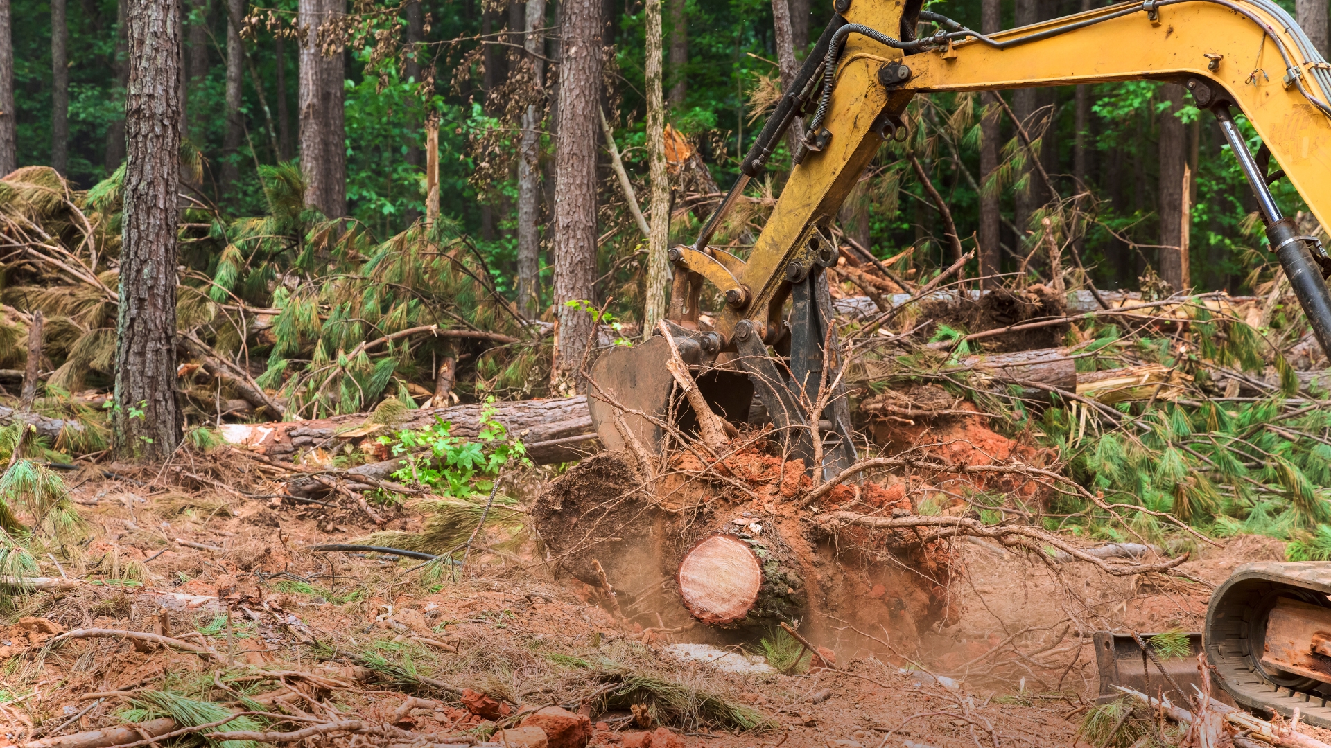 သက်ရှိများနှင့် မျိုးတုန်းမှုအန္တရာယ် အပိုင်း ( ၂ )