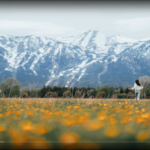 လမ်းပျောက်နေတဲ့အခါ