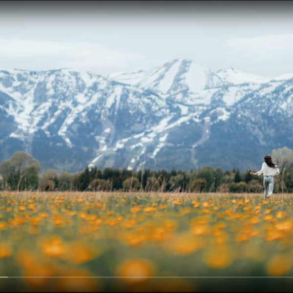 လမ်းပျောက်နေတဲ့အခါ