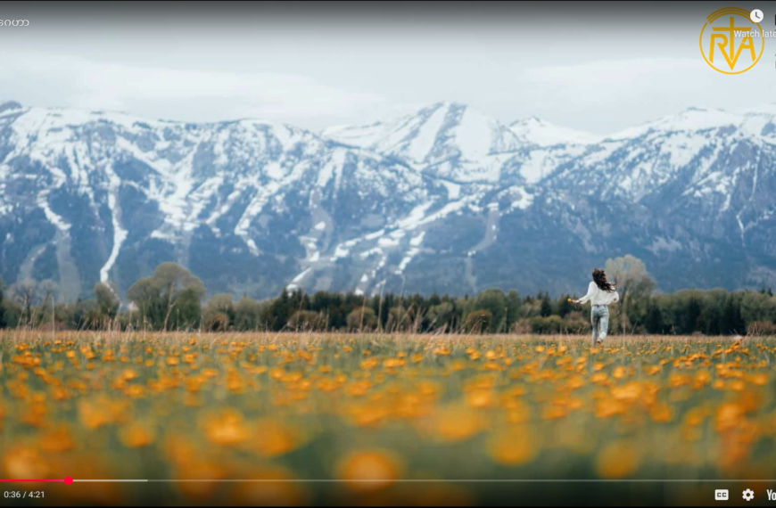 လမ်းပျောက်နေတဲ့အခါ