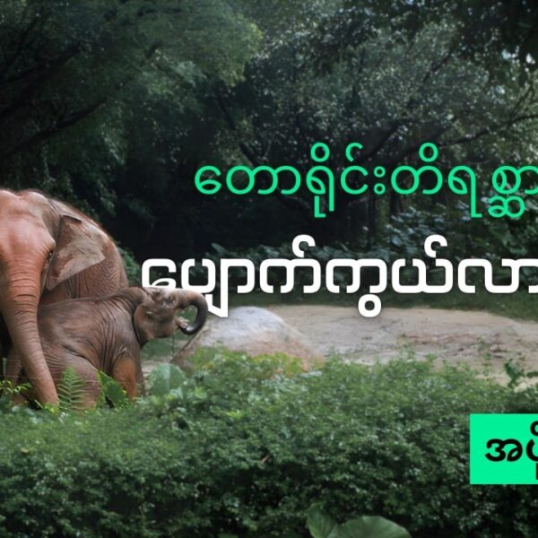 တောရိုင်းတိရစ္ဆာန် ပျောက်ကွယ်မှုများနှင့် အမဲလိုက်မှုများအပိုင်း ( ၂ )