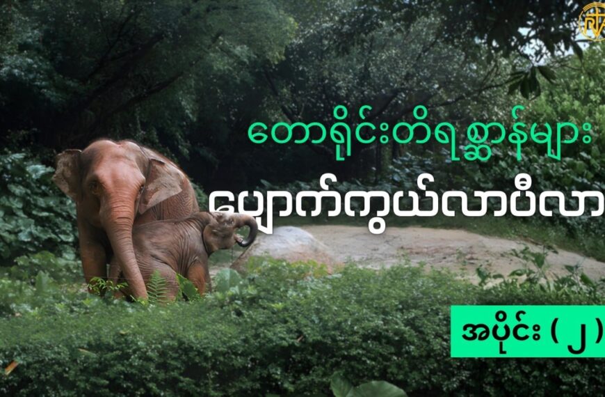 တောရိုင်းတိရစ္ဆာန် ပျောက်ကွယ်မှုများနှင့် အမဲလိုက်မှုများအပိုင်း ( ၂ )