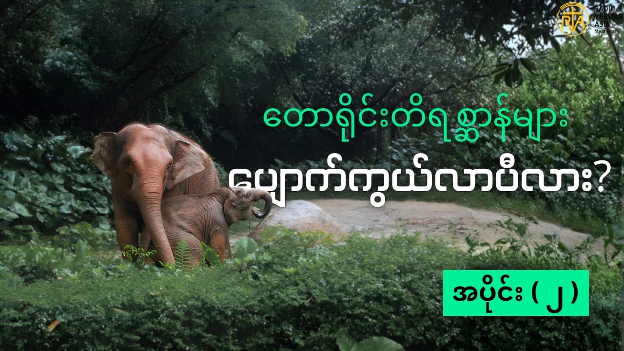 တောရိုင်းတိရစ္ဆာန် ပျောက်ကွယ်မှုများနှင့် အမဲလိုက်မှုများအပိုင်း ( ၂ )