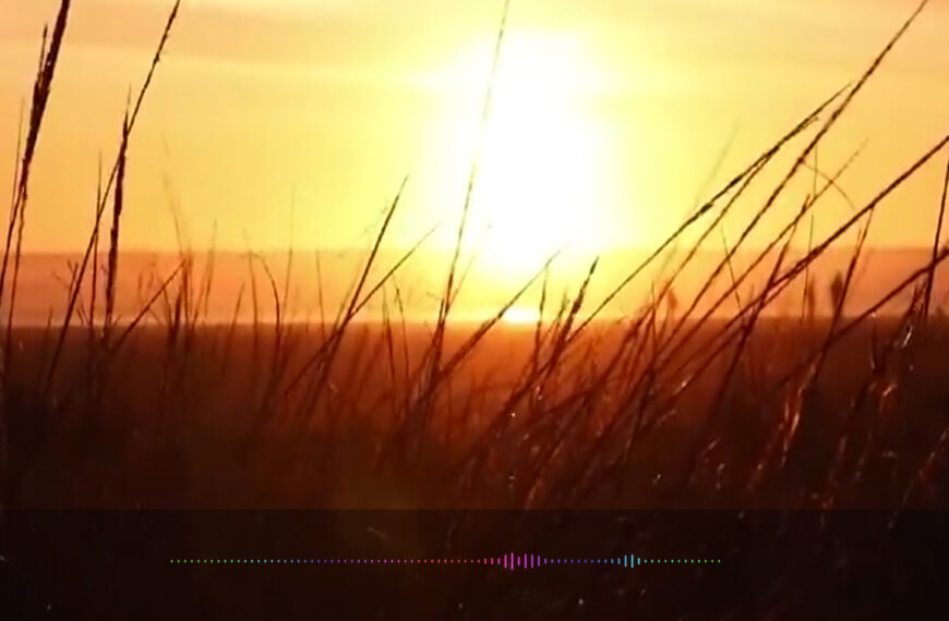 ကျင့်ကြံဆောက်တည်ပညာသတိရှိခြင်းပါရမီများ အပိုင်း(၂)