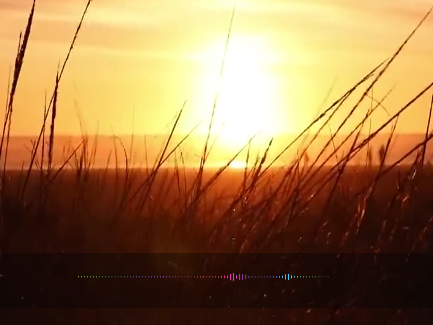 ကျင့်ကြံဆောက်တည်ပညာသတိရှိခြင်းပါရမီများ အပိုင်း(၂)