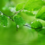 မျှော်လင့်ချက်တွေ လျော့ချပါ