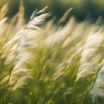 ကိုယ့်ကိုယ့်ကို လေးစားပါ သူတစ်ပါးကိုလဲ လေးစားပါ