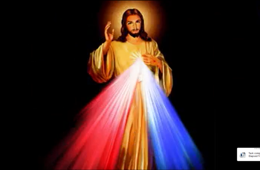 လူသားကမ္ဘာကောင်းကျိုးဖြာ