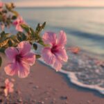 သိရခက်ခြင်း