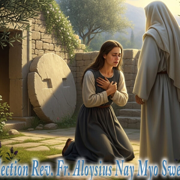 ဖာရ်သာ Aloysius Nay Myo Swe (မန္တလေးကက်သလစ်ဂိုဏ်းချုပ်သာသနာ) ပါစကားပထမသီတင်းပါတ် ‌‌အင်္ဂါနေ့ ၇၊ ၄၊ ၂၀၂၆