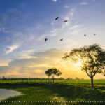 သီရိဂေဟာ