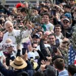 ပုပ်ရဟန်းမင်းကြီး လီယို (၁၄) ၏ ငြိမ်းချမ်းရေး မေတ္တာရပ်ခံချက်များ။