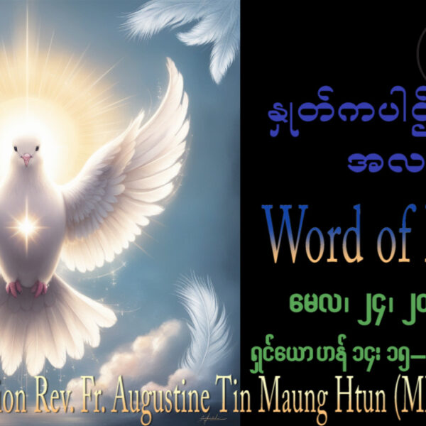 ဖာရ်သာ Augustine Tin Maung Htun (မန္တလေးကက်သလစ်ဂိုဏ်းချုပ်သာသနာ) ‌‌သန့်ရှင်းသောဝိညာဉ်တော်ဘုရားပွဲ တနင်္ဂနွေနေ့ ၂၄၊ ၅၊ ၂၀၂၆