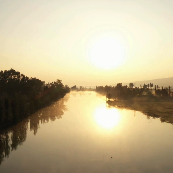 ဒီနေ့မှာ ဘဲလိုလူစား မကြီးပွားဆိုတဲ့ အကြောင်းအရာကို မျှဝေပေးသွားချင်ပါတယ်။