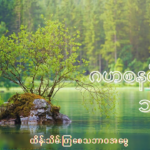 ဂေဟစနစ်အကြောင်း။