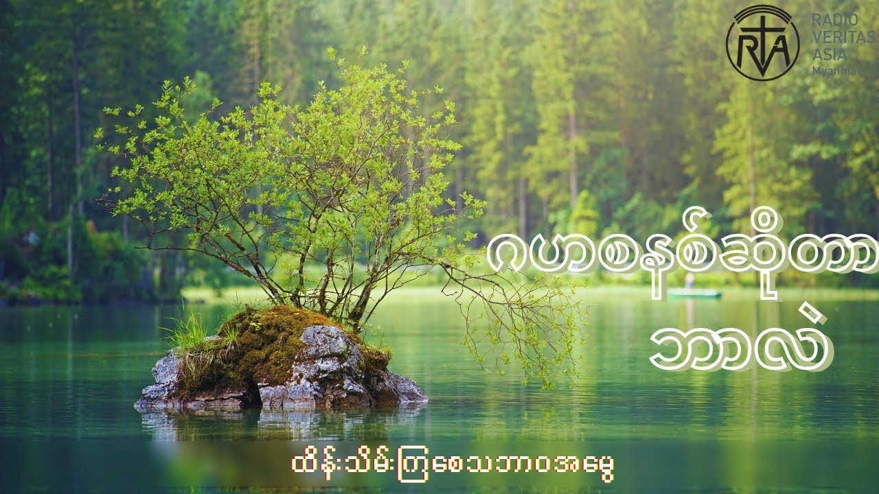 ဂေဟစနစ်အကြောင်း။