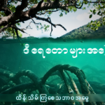 ဒီရေတောများအကြောင်း