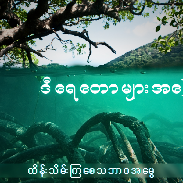 ဒီရေတောများအကြောင်း