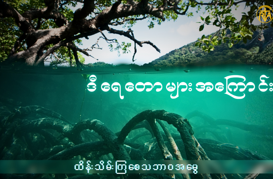 ဒီရေတောများအကြောင်း