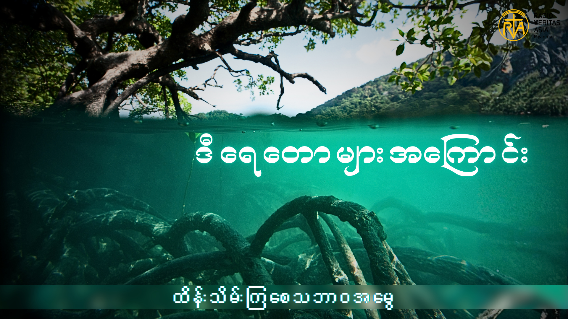 ဒီရေတောများအကြောင်း