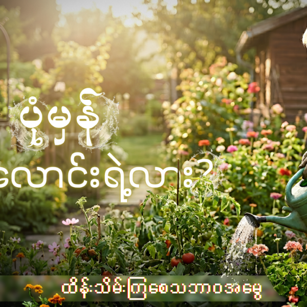 သစ်ပင်ပန်းပင်များကို စနစ်တကျ ရေလောင်းပေးပါ။