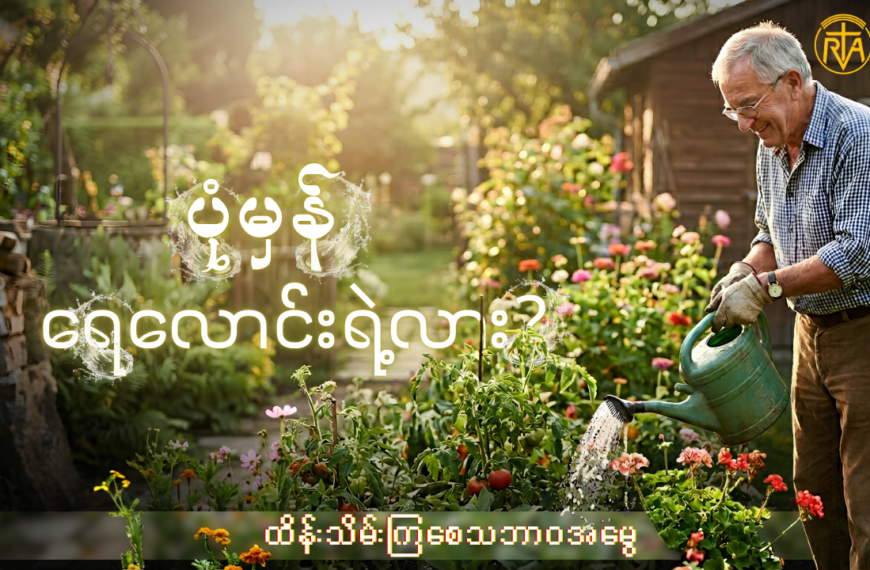 သစ်ပင်ပန်းပင်များကို စနစ်တကျ ရေလောင်းပေးပါ။