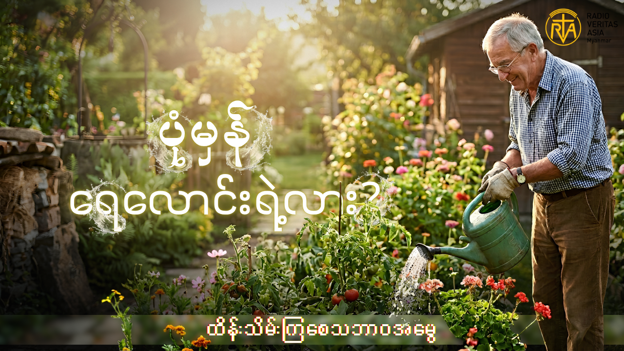 သစ်ပင်ပန်းပင်များကို စနစ်တကျ ရေလောင်းပေးပါ။