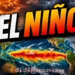 အယ်လ်နီညိုဆိုတာဘာလဲ။