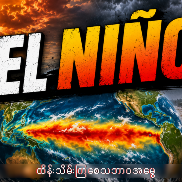 အယ်လ်နီညိုဆိုတာဘာလဲ။
