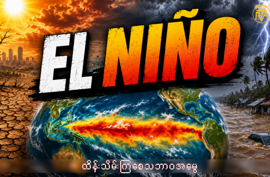 အယ်လ်နီညိုဆိုတာဘာလဲ။