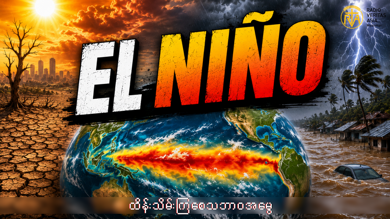 အယ်လ်နီညိုဆိုတာဘာလဲ။