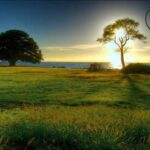 ယုံကြည်မှု