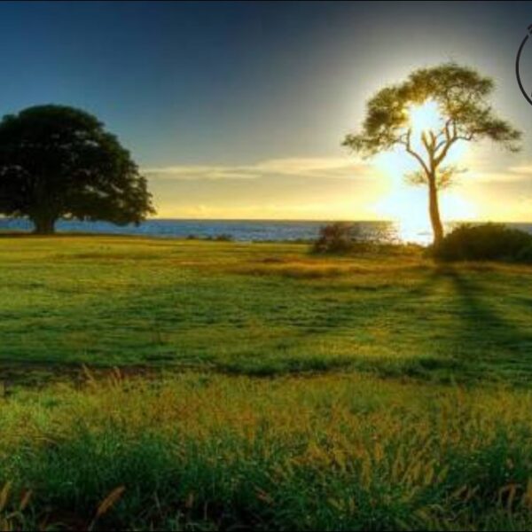 ယုံကြည်မှု